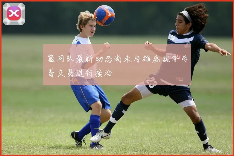 篮网队最新动态尚未与雄鹿就字母哥交易进行接洽