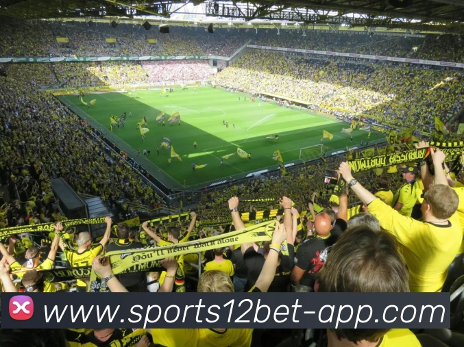 足球狠话哥独家解析五大联赛历史射手榜的传奇与成就